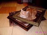     
: sIMG_6063.jpg
: 184
:	95.2 
ID:	159368