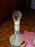     
: SDC11992.jpg
: 23
:	83.3 
ID:	1600413
