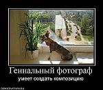     
: x_c8445e9f.jpg
: 175
:	57.8 
ID:	1601216