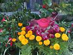     
: Dscnfdrf  044.jpg
: 25
:	122.2 
ID:	160162