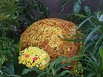     
: Dscnfdrf  034.jpg
: 12
:	107.9 
ID:	160175