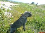     
: DSC00033.jpg
: 14
:	156.3 
ID:	160994