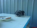     
: DSC00025.jpg
: 16
:	50.7 
ID:	160995