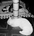     
:  (2) SDC12088.jpg
: 27
:	123.2 
ID:	1612748