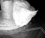     
:  SDC12090.jpg
: 24
:	130.0 
ID:	1612754