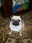     
: 100_2197.jpg
: 37
:	87.6 
ID:	1621629