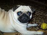     
: 100_2203.jpg
: 28
:	143.2 
ID:	1621652
