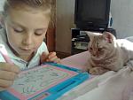     
: user130922_pic183450_1286696180.jpg
: 37
:	31.3 
ID:	1624678