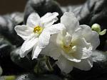     
: IMG_8192.jpg
: 12
:	79.0 
ID:	1625278