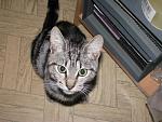     
: IMG_0027.jpg
: 75
:	91.1 
ID:	1625512