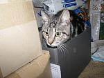     
: IMG_0018.jpg
: 115
:	117.7 
ID:	1625516