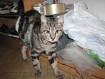     
: IMG_0021.jpg
: 58
:	33.0 
ID:	1625519