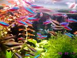     
: sIMG_6222.jpg
: 69
:	89.2 
ID:	162646