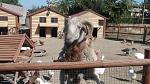     
: DSC03081.jpg
: 180
:	164.5 
ID:	1626536