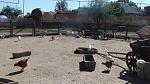     
: DSC03113.jpg
: 147
:	141.5 
ID:	1626573