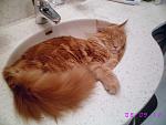     
: sIMG_6252.jpg
: 86
:	93.1 
ID:	163257