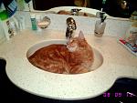     
: sIMG_6234.jpg
: 79
:	102.3 
ID:	163260