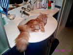    
: sIMG_6254.jpg
: 69
:	104.2 
ID:	163264