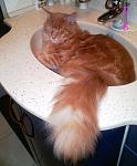    
: sIMG_6263.jpg
: 75
:	87.8 
ID:	163276