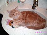     
: sIMG_6273.jpg
: 76
:	94.4 
ID:	163283