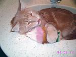     
: sIMG_6277.jpg
: 81
:	80.7 
ID:	163284