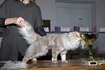     
: IMG_0105_500.jpg
: 110
:	57.8 
ID:	1638157