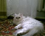     
: Photo-0022.jpg
: 13
:	76.7 
ID:	164077