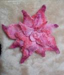     
: SDC12768.jpg
: 13
:	80.7 
ID:	1643746