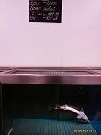     
: IMAG0052.jpg
: 87
:	57.1 
ID:	1645014