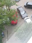     
: IMG_0713.jpg
: 84
:	116.3 
ID:	1652181