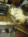     
: 080812-0002.jpg
: 21
:	55.1 
ID:	166123