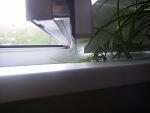     
: P7051956-small.jpg
: 39
:	23.1 
ID:	1667147