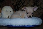     
: DSC_0134.jpg
: 98
:	79.1 
ID:	1674851