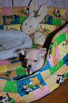     
: DSC_0175.jpg
: 123
:	86.3 
ID:	1678559