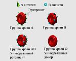     
: Blood_type.jpg
: 117
:	14.3 
ID:	1683852