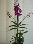     
: DSC01195.jpg
: 96
:	46.0 
ID:	173198