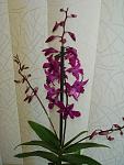     
: DSC01196.jpg
: 80
:	48.0 
ID:	173199