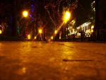     
: CIMG3993_pp.jpg
: 22
:	98.7 
ID:	179794