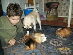     
: 100_2244.jpg
: 55
:	212.6 
ID:	1839050