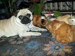     
: 100_2242.jpg
: 55
:	179.0 
ID:	1839051