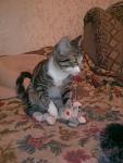     
: Фото0583.jpg
: 19
:	68.5 
ID:	1839397