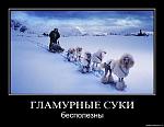     
: ke17ni3zehm7.jpg
: 28
:	56.3 
ID:	1842351