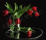     
: 2753aa5471a8.jpg
: 64
:	32.8 
ID:	1843370