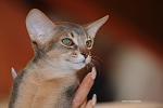     
: DSC_5052_modifi&#233;.jpg
: 29
:	104.6 
ID:	1848757