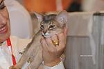     
: DSC_5060_modifi&#233;.jpg
: 23
:	102.0 
ID:	1848758