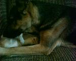     
: DSC00204.JPG
: 75
:	191.8 
ID:	1849050