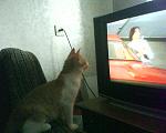     
: DSC00200.JPG
: 66
:	173.7 
ID:	1849054