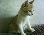     
: DSC00180.JPG
: 63
:	178.4 
ID:	1849056