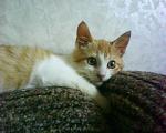     
: DSC00176.JPG
: 67
:	177.4 
ID:	1849057