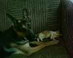     
: DSC00206.JPG
: 75
:	237.6 
ID:	1849058